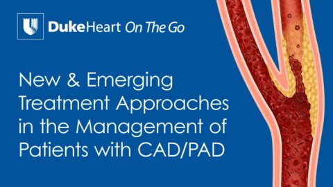 CAD/PAD Educational Series - SVM